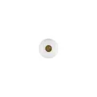 Le Creuset Pepper mill 21cm white Photo