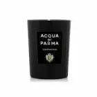 Osmanthus Candle Foto 2