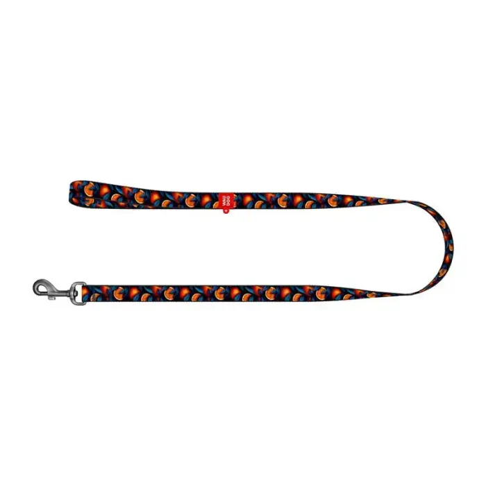 Nylon dog leash, pattern ''Oranges'' length 122 cm Waudog Photo