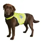 Atstarojošā veste -Trixie Safety vest for dogs, XL. 47 cm, 72-95 cm Фото num