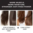 Color Wow Dream Coat Extra Strength Moisturising Spray Photo