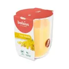 Svece arom. stikla gl. True Scents Ø80x73mm mimosa  Foto 2