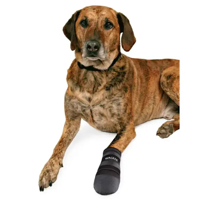 Aizsardzības apavi suņiem - Trixie Walker Care Protective Boots "M" 2pcs, Border Collie Фото num
