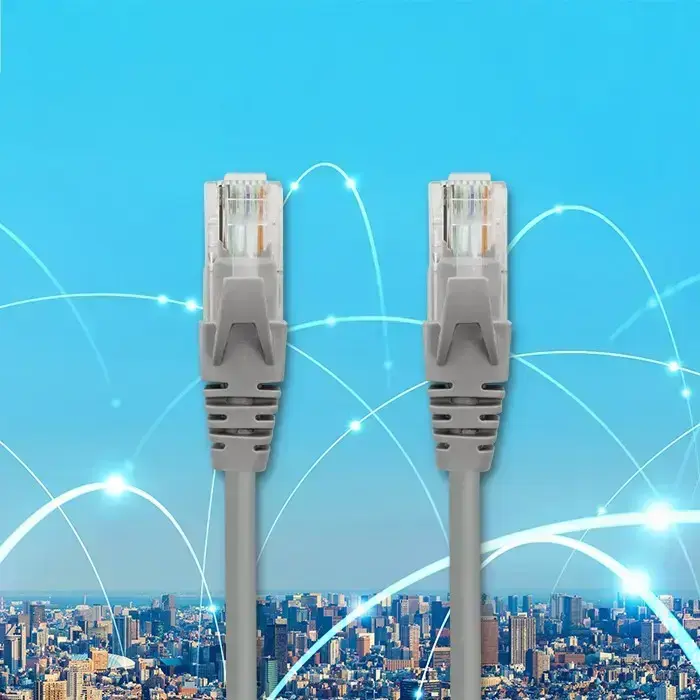 Qoltec Cable Patchcord UTP | CAT5e | 2 x RJ-45 | 1m | High speed | Gold Foto 7