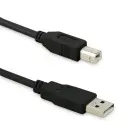 Qoltec USB 2.0 cable A male | B male | 5m Photo
